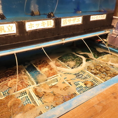 磯丸水産 上通店の特集写真