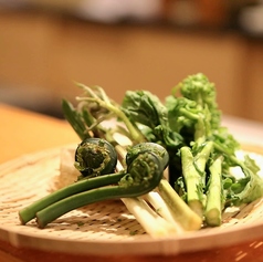 【春野菜の天ぷら】ウド・コゴミ・ヒトピロ(行者ニンニク)