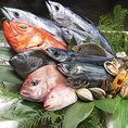 いつでも天然活魚がお愉しみいただけるように店内には、約2トンの巨大生簀を完備しております。魚は漁師と直接取引をして素材の鮮度と安全にこだわります。漁師直送の天然活魚、そして市場直送の鮮魚の数々を目利き、厳選し丁寧に調理いたします。