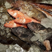 豊洲から届く鮮魚と旬食材を活かした料理の魅力