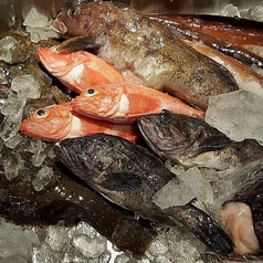 豊洲から届く鮮魚と旬食材を活かした料理の魅力