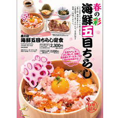 春の彩！海鮮五目ちらし定食※3月3日～の期間限定メニュー！店舗により販売期間変更有り