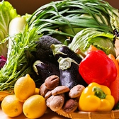 料理に使うみずみずしいお野菜は新鮮かつ上質な食材しか使用しておりません。