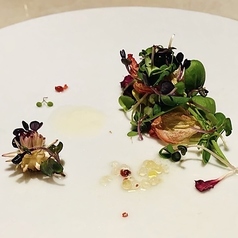 Lepalier ルパリエ Evans by 勢麟の特集写真