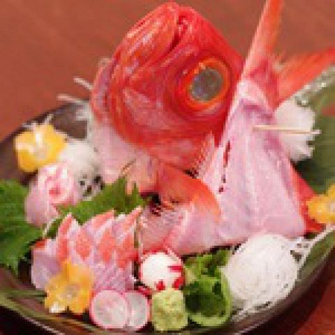 【飲み放題2h付】今だけの旬の刺身盛りプラン