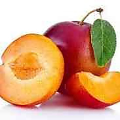 Plum