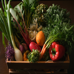 S kashiwaの写真2