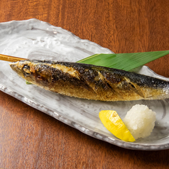 大トロいわし