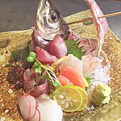 鮮魚お刺身盛り合わせ