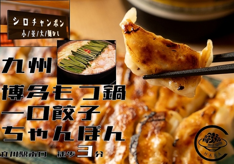 博多もつ鍋に一口餃子やちゃんぽんなど、本格的な九州料理が食べられるお店が立川に！