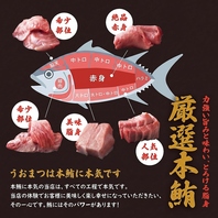 鮪の希少部位をご用意