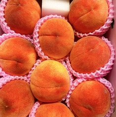 パスタと小料理morisige モリシゲのおすすめ料理3