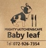 Baby leaf ベビーリーフのロゴ