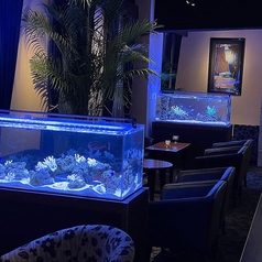 The BAR BLEEZEBLUE ザバーブリーズブルー 沼津の雰囲気3