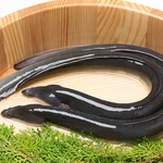 厳選した養殖場から仕入れる、ニホンウナギを使用◎高品質なうな重をご提供いたします。