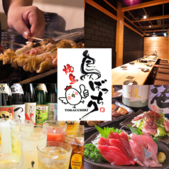 鳥ばっちり とばっちり特集写真1