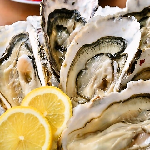 KAKIMASA JL}T ΎRwOX