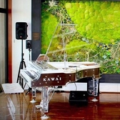 大分県内には1台しかないKAWAIクリスタルピアノCR40-A(YOSHIKIモデル)。音楽の発表会などに当店をご利用されるお客様から大好評です。