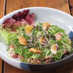 知覧鶏炙りたたき