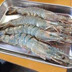 有頭エビ 1本
