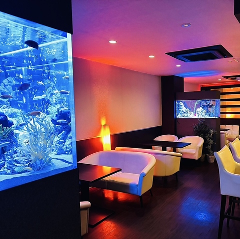 ステキな空間でパーティや宴会を♪女子会にもお勧めのダイニングBarで楽しみましょう