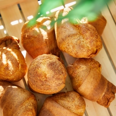 VACANZA by moana place バカンツァ バイ モアナプレイスの特集写真