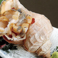 活つぶ刺身(1280円)