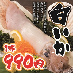 【山陰の恵み】“いかの大トロ”と称される白いか刺し〜究極のとろける甘みを一杯990円で〜の写真