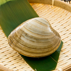 活白蛤（ホンビノス貝）の殻焼（1個）