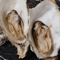料理メニュー写真&nbsp;仙鳳趾産！蒸し牡蠣（２ケ）