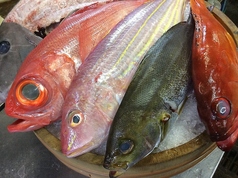 日本全国の新鮮地魚お取り寄せ 本日の刺身