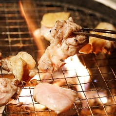 オープン記念 サワーハイボール120分飲み放題【980円】