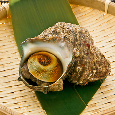 活サザエの壺焼（1個）