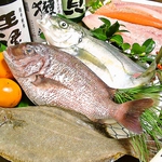 毎日新鮮な魚を仕入れております★お刺身から煮物まで、一番美味しい食べ方でご提供いたします★