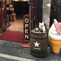 テラス席限定でペット連れ込み可となります。家族みんなで外でお食事はいかがですか!?