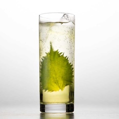 大葉のジントニック Gin Tonic with Perilla