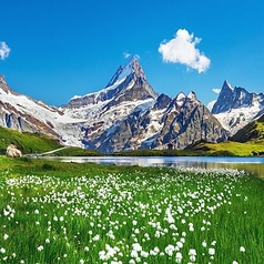 ル モマン Vin et Dessert le moment ヴァン エ デセールのおすすめ料理1