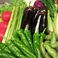 食材のこだわり：【新鮮な旬の地野菜】その日に仕入れるお野菜で健康的なお料理をつくります☆