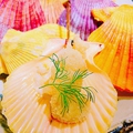 料理メニュー写真 熊本から直送の緋扇貝