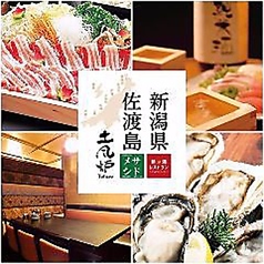 新潟 佐渡島 両津港直送 土風炉 御徒町店特集写真1