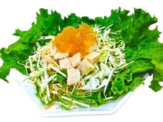 柑橘ジュレで食べるヘルシーチキンサラダ