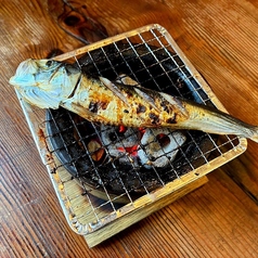 鰯の丸干し