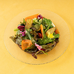 HAVANA 農園風グリーンサラダ