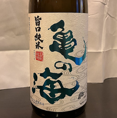 亀の海