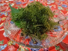 海ぶどう