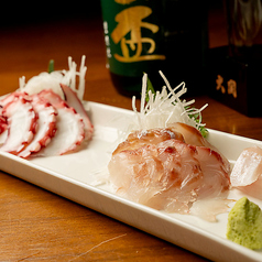 旬魚のお刺身