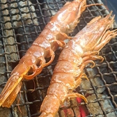 炭火酒場おにまるのおすすめ料理2