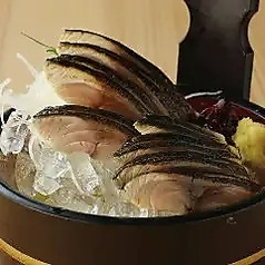 炙り〆鯖