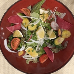 野菜サラダ