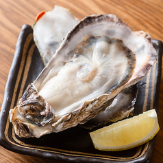 数量限定！殻付き生牡蠣